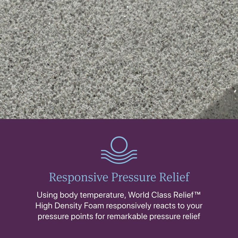 Beautyrest World Class Level Three Plush Mattress