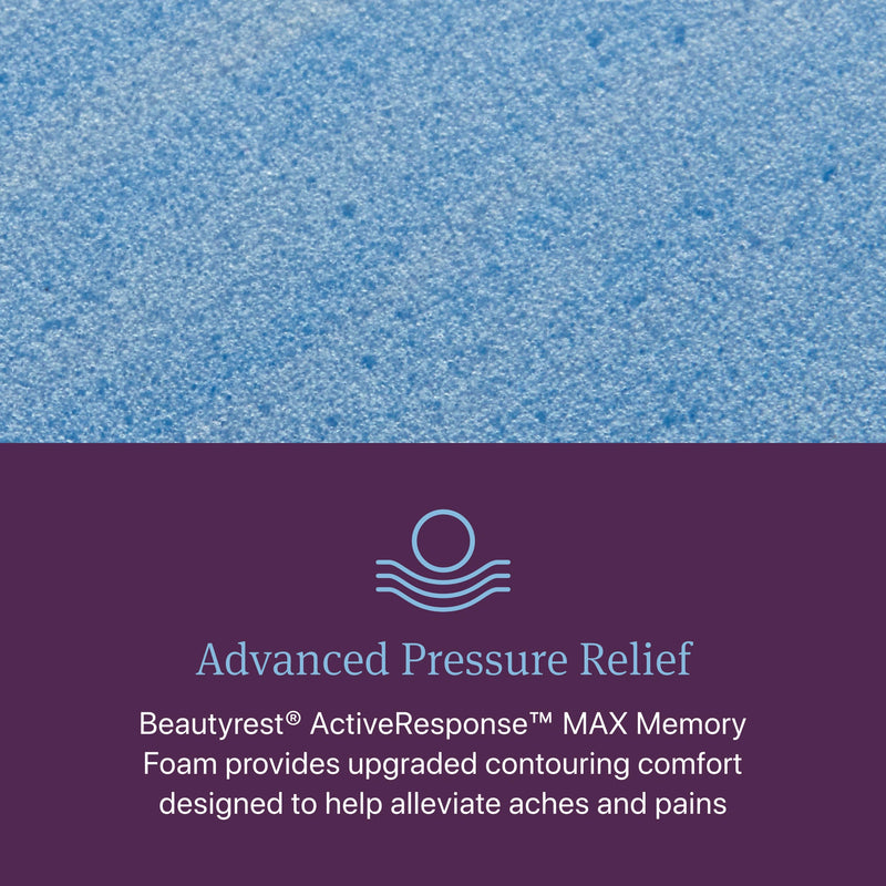 Beautyrest World Class Level Four Plush Mattress